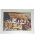 Print 35x25cm Cats in a basket with flowers 01342 