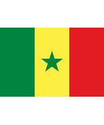 Bandiera di stato Senegal 300x200cm A9224 