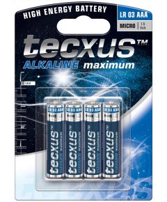 1.5V LR03 / AAA alkaline manganese battery F1424 Tecxus