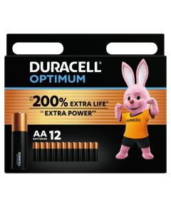 Duracell 1.5V alkaline AA batteries, pack of 12 WB2470 Duracell