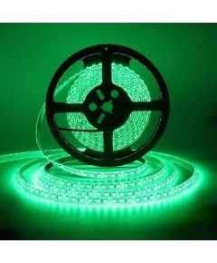 Striscia LED 12 5m luce verde 4.8W/m K718 Vito