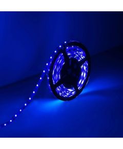 Striscia LED 12V 5m luce blu 4.8W/m N210 Vito