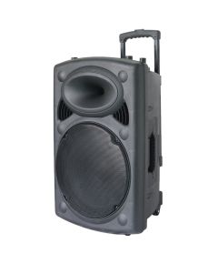 Cassa acustica amplificata 12&rdquo; con microfono e telecomando Bluetooth/Radio FM ND-12 WEB