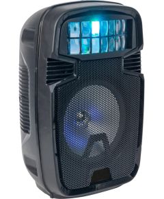 Cassa acustica Bluetooth 20W ricaricabile con USB/SD/Radio FM e luci LED SG-R28 