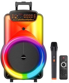 Cassa acustica trolley 40W Luce LED Bluetooth/USB/SD/FM con microfono KK-12103 Kakusiga