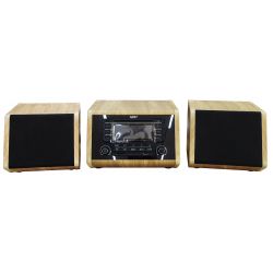 Hölzerne Stereoanlage mit Radio / Bluetooth / SD / USB / AUX 100W V950 