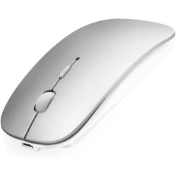 Gray wireless mouse with built-in rechargeable battery WB1720 