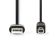 USB 2.0 cable A Male - USB-B Male 2m Black ND145 