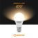 Lampada LED Bulb A60 10W attacco E27 - luce calda 5747 Shanyao