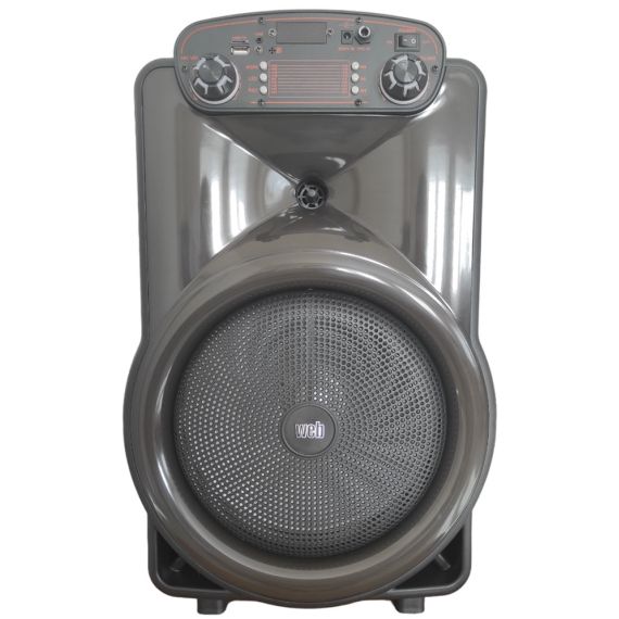 12" trolley speaker Bluetooth/SD/USB/Radio LED light Q1218A WEB