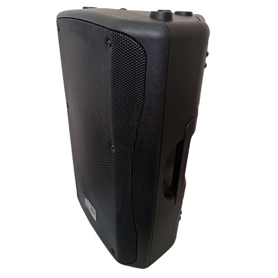 Cassa acustica passiva 250W 8 OHMS FYS-12PA-58P FYS-12PA-58P 