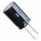 Condensateur électrolytique 22uF 250V B5689 